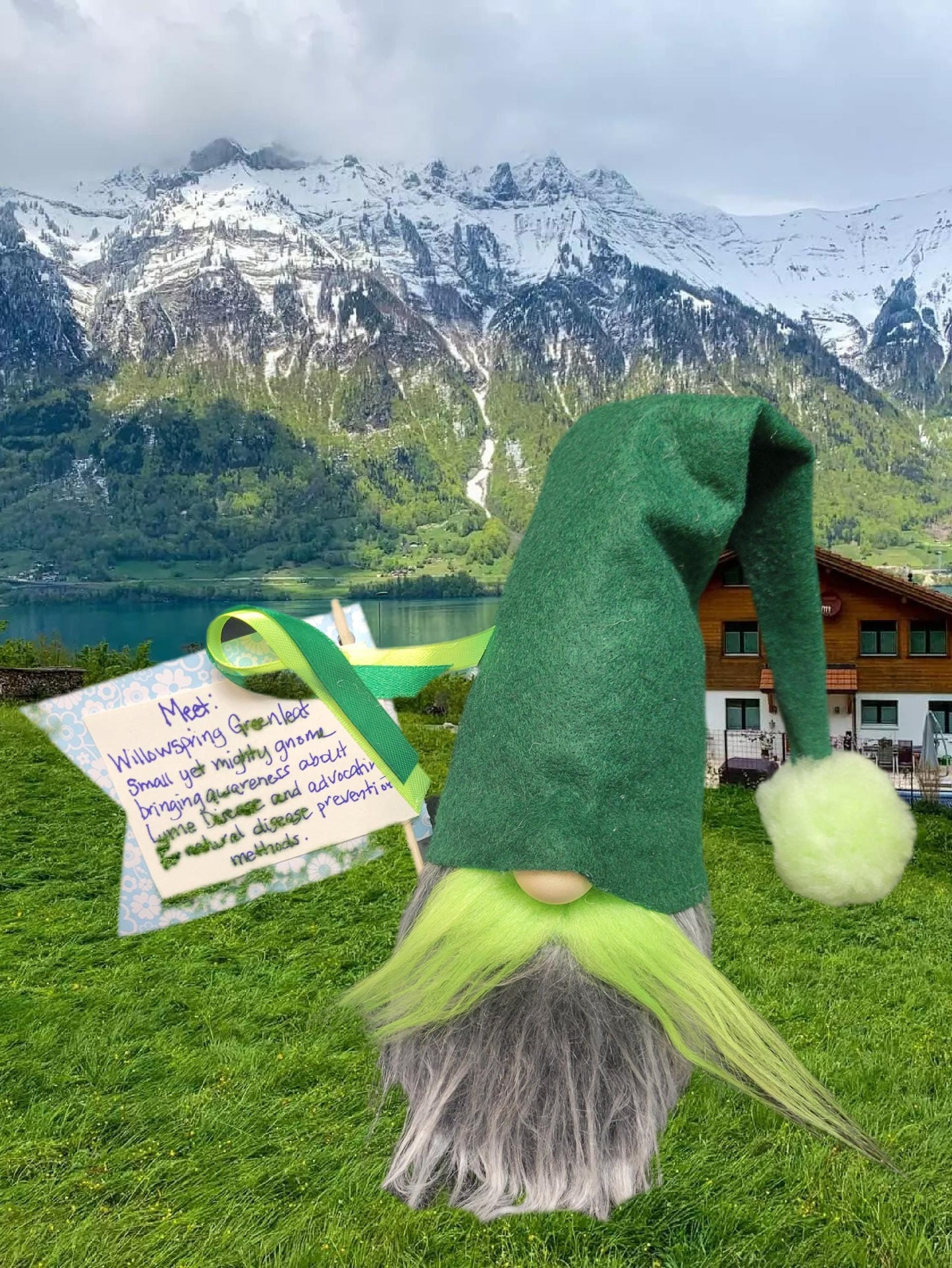 Awareness Month Gnomes, Custom order, personalized home decor, survivor, mascot