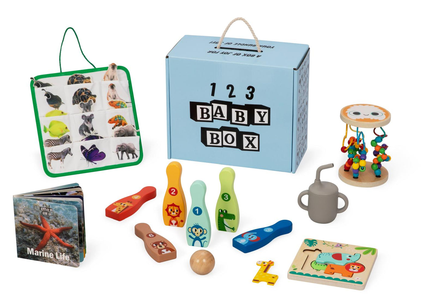 Montessori Educational Box (19-21 Months)
