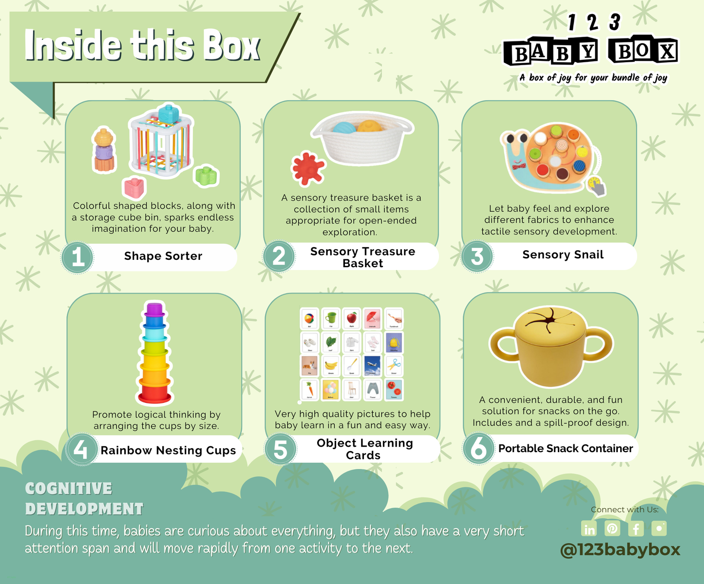 Montessori Educational Box (7-8 months)