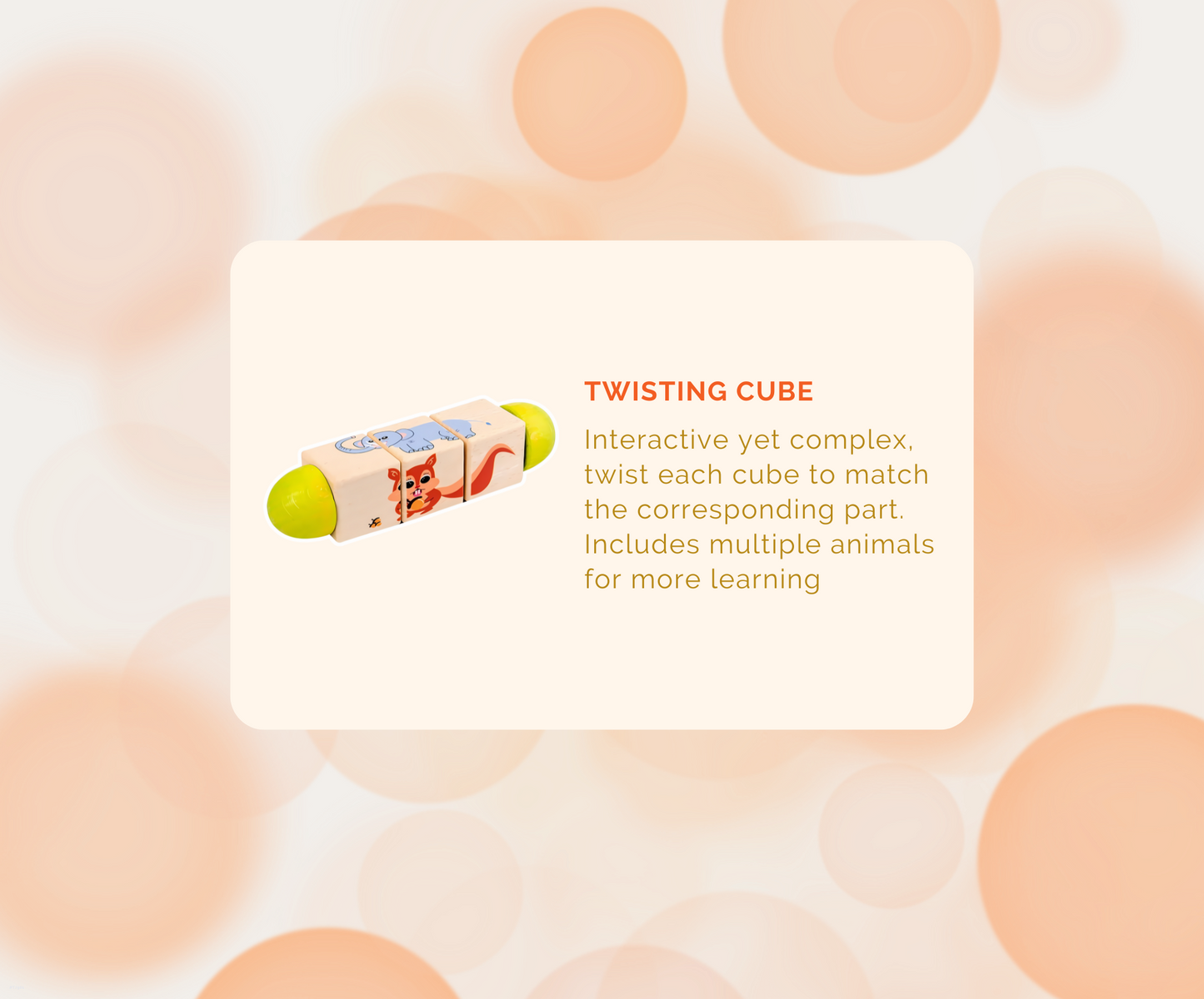 Montessori Educational Box (25-27 Months)