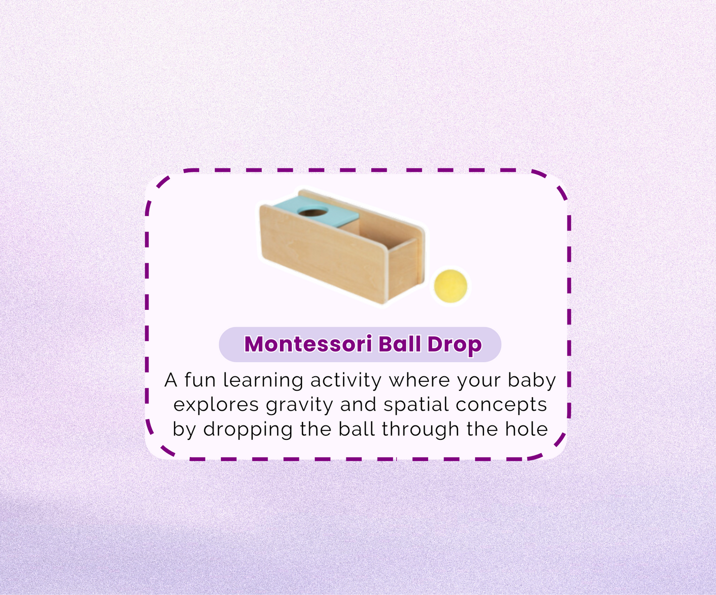 Montessori Educational Box (11-12 months)