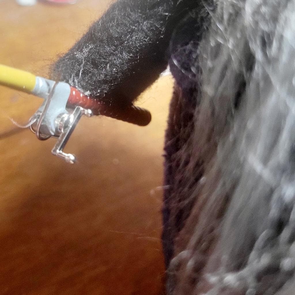 Fishing Gnome with Grey Beard